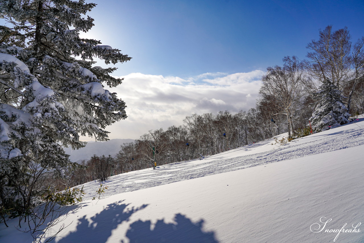 サッポロテイネ　これが北海道の冬。気温-11℃、澄んだ青空の下、パウダースノーが舞う天空のゲレンデ！